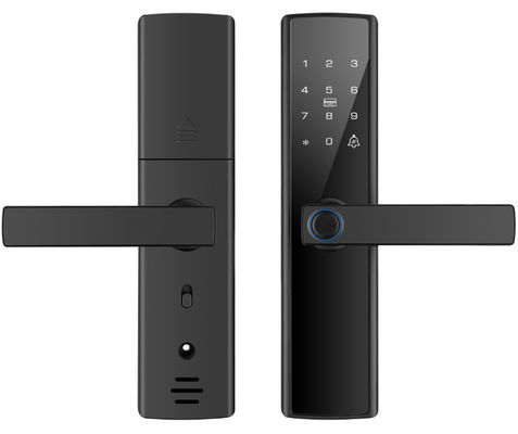 TTlock и Bluetooth умный дверной замок отпечатки пальцев ODM цифровой дверной замок