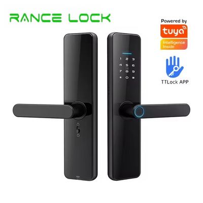Fermeture de porte personnalisée Tuya Noir / Gris Fermeture de porte numérique de mot de passe avec stockage de données en nuage